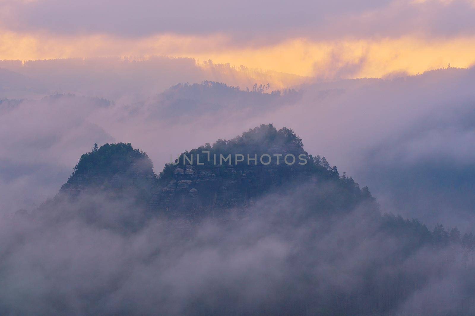 Morning after heavy rainy night. Misty clouds in valley. Foggy forest during sunrise, Saxon Switzerland, Germany. 