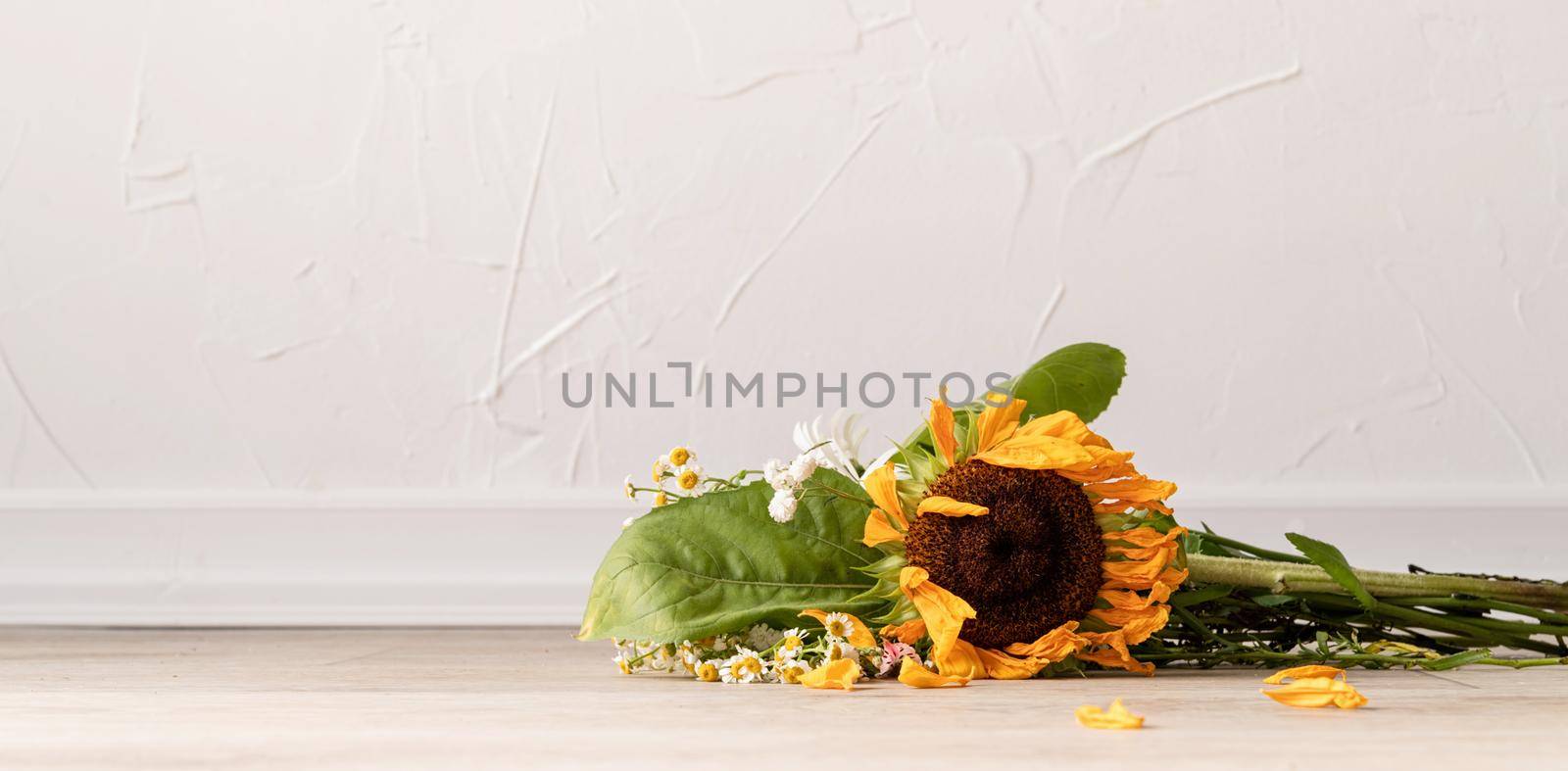 Autumn concept. A bouquet of withered flowers and a sunflower on the floor. Banner