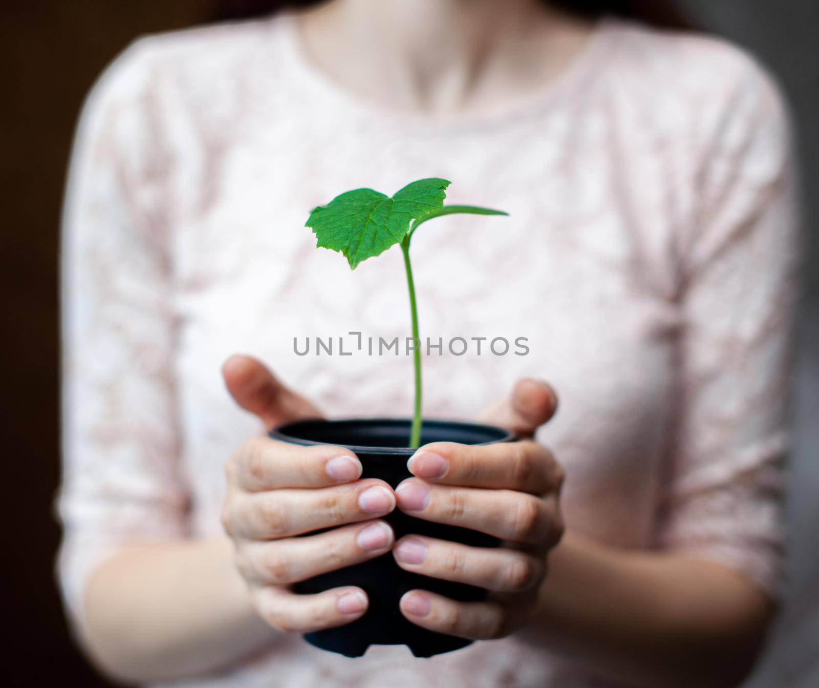 The girl is holding a black pot with a green plant on a dark backgroun by AnatoliiFoto