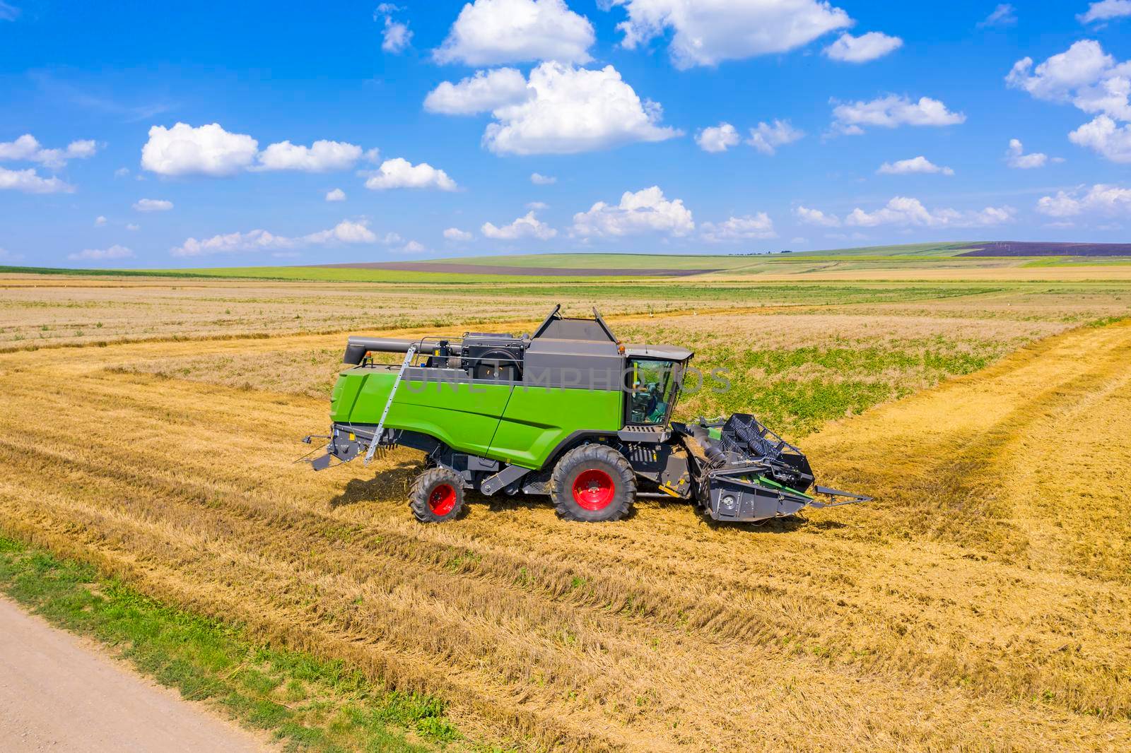 Combine harvester working in wheat field, summer harvest in agriculture.