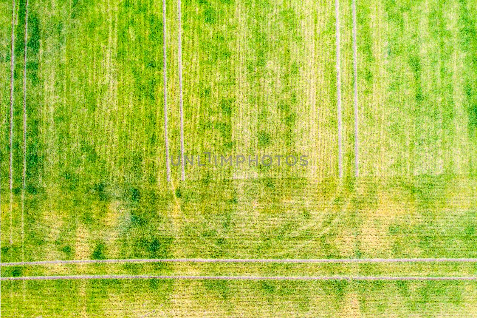 Above view of tractor traces over green field during springtime