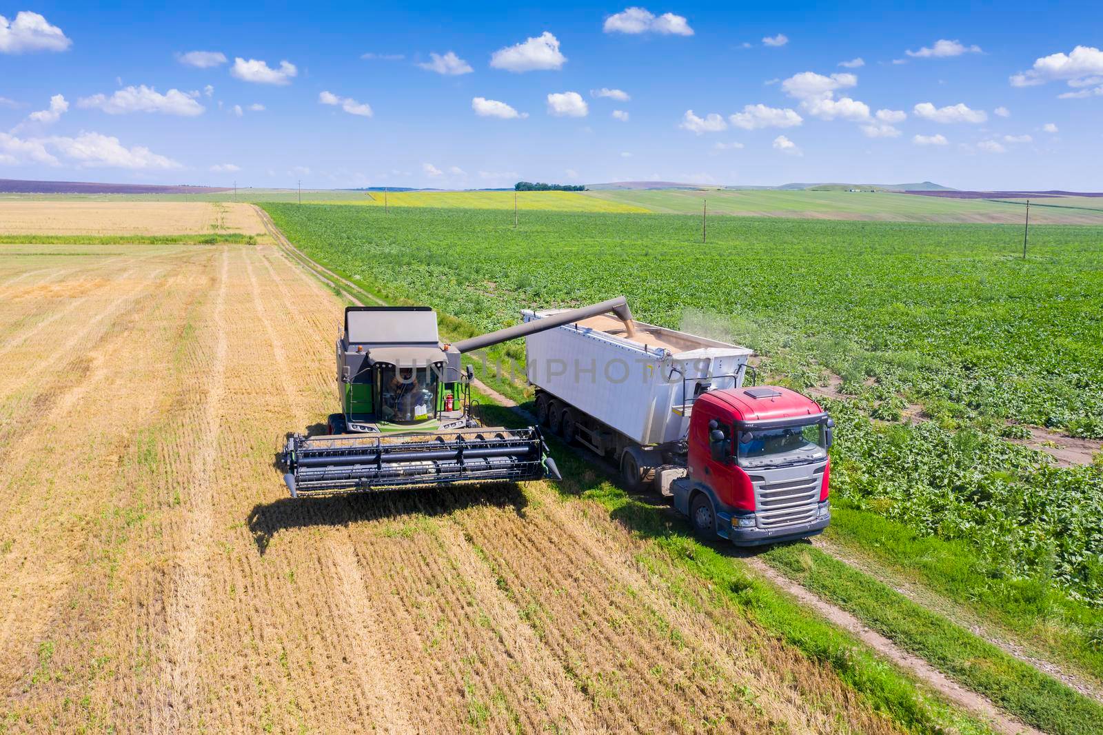 Combine harvester emptying into container trailer by savcoco