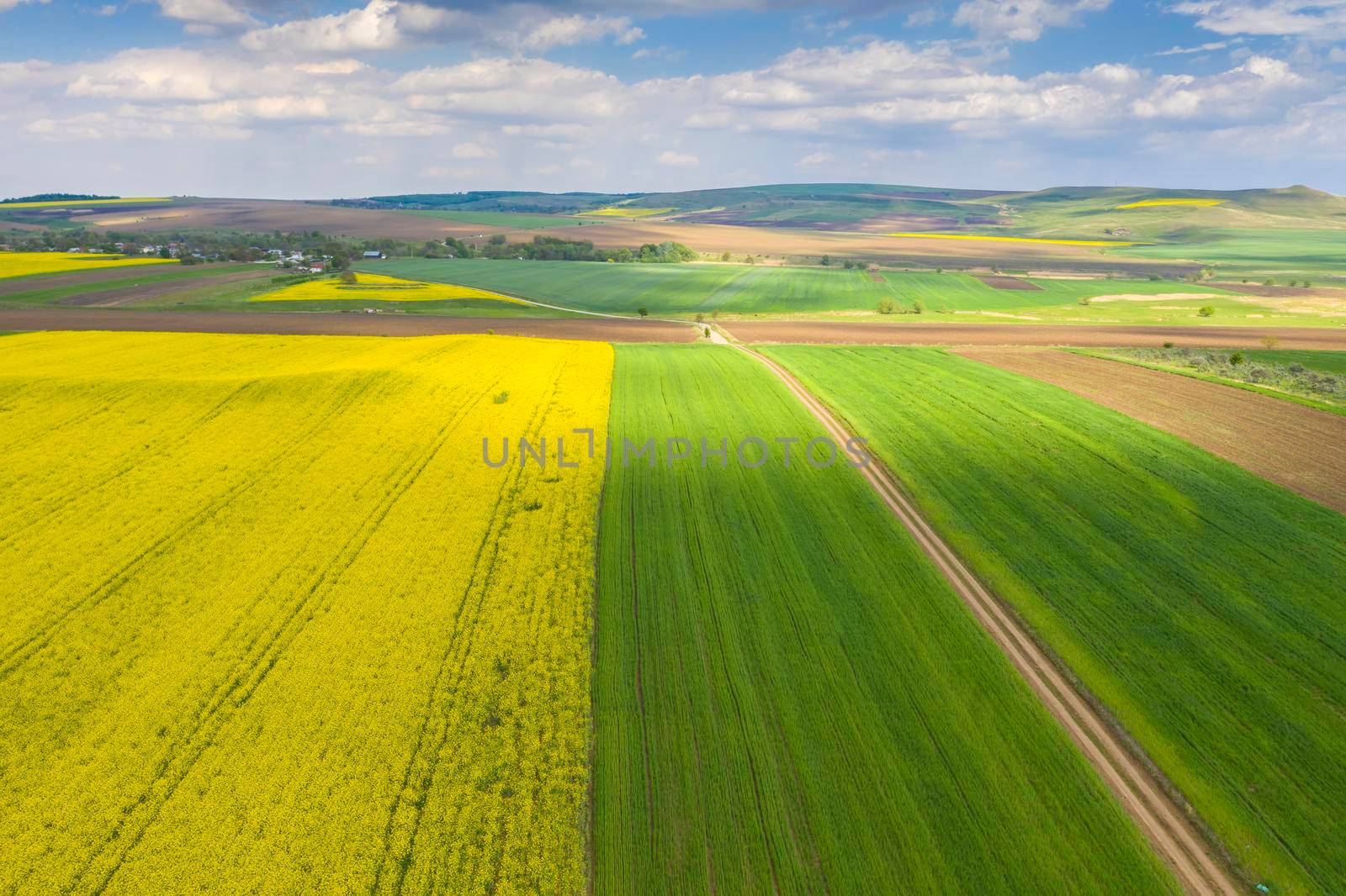 Fresh yellow and green fields viewed from above during spring near farm