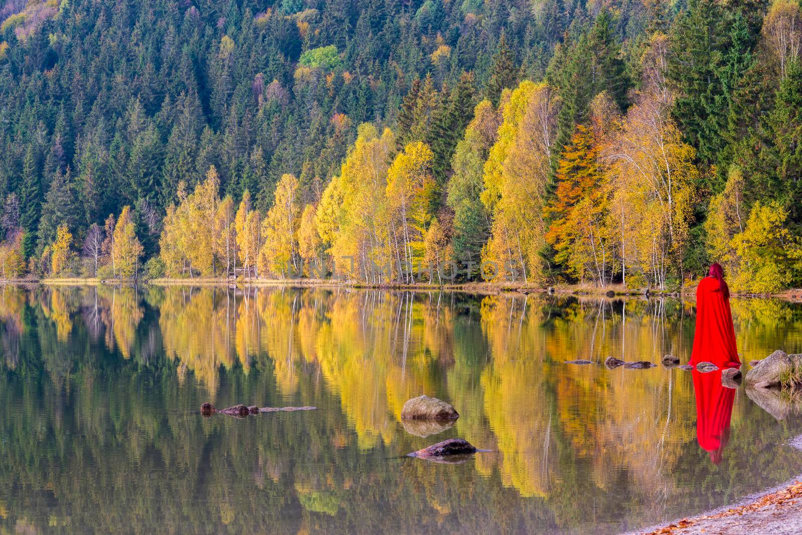 Red lady and autumn trees reflecting in water by savcoco