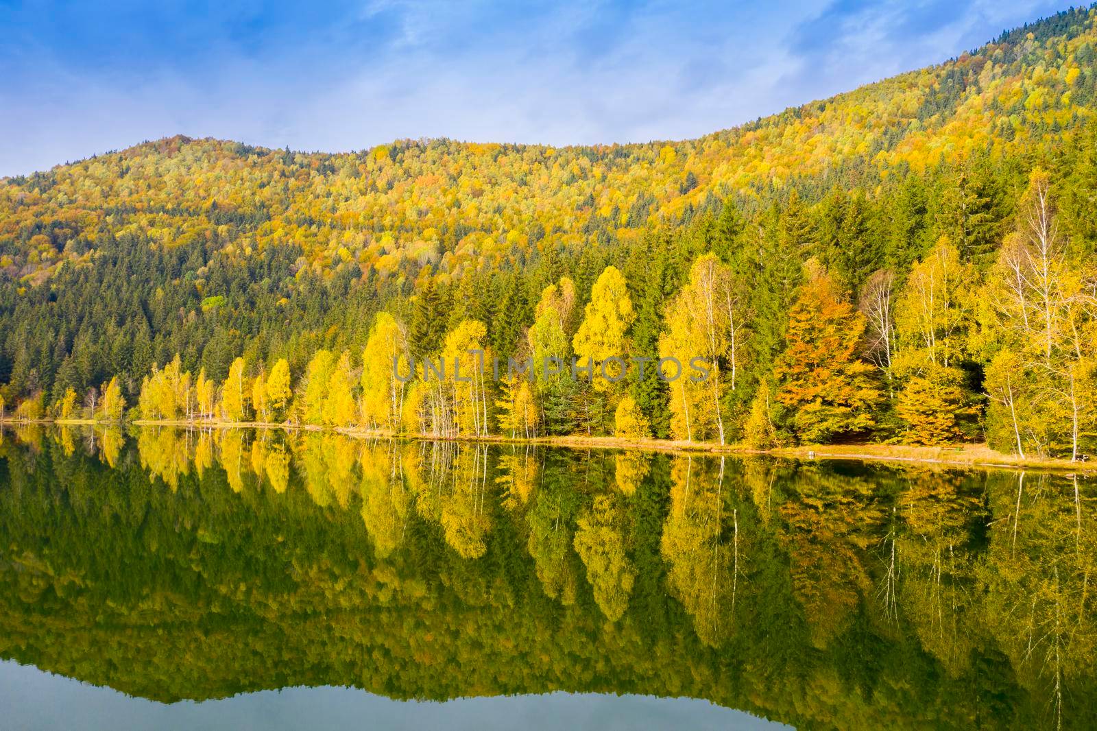 Golden forest trees mirroring in lake water surface. Saint Anne Lake is the only one crater lake from Romania, located  in volcanic crater of Ciomatu Mare Volcano.