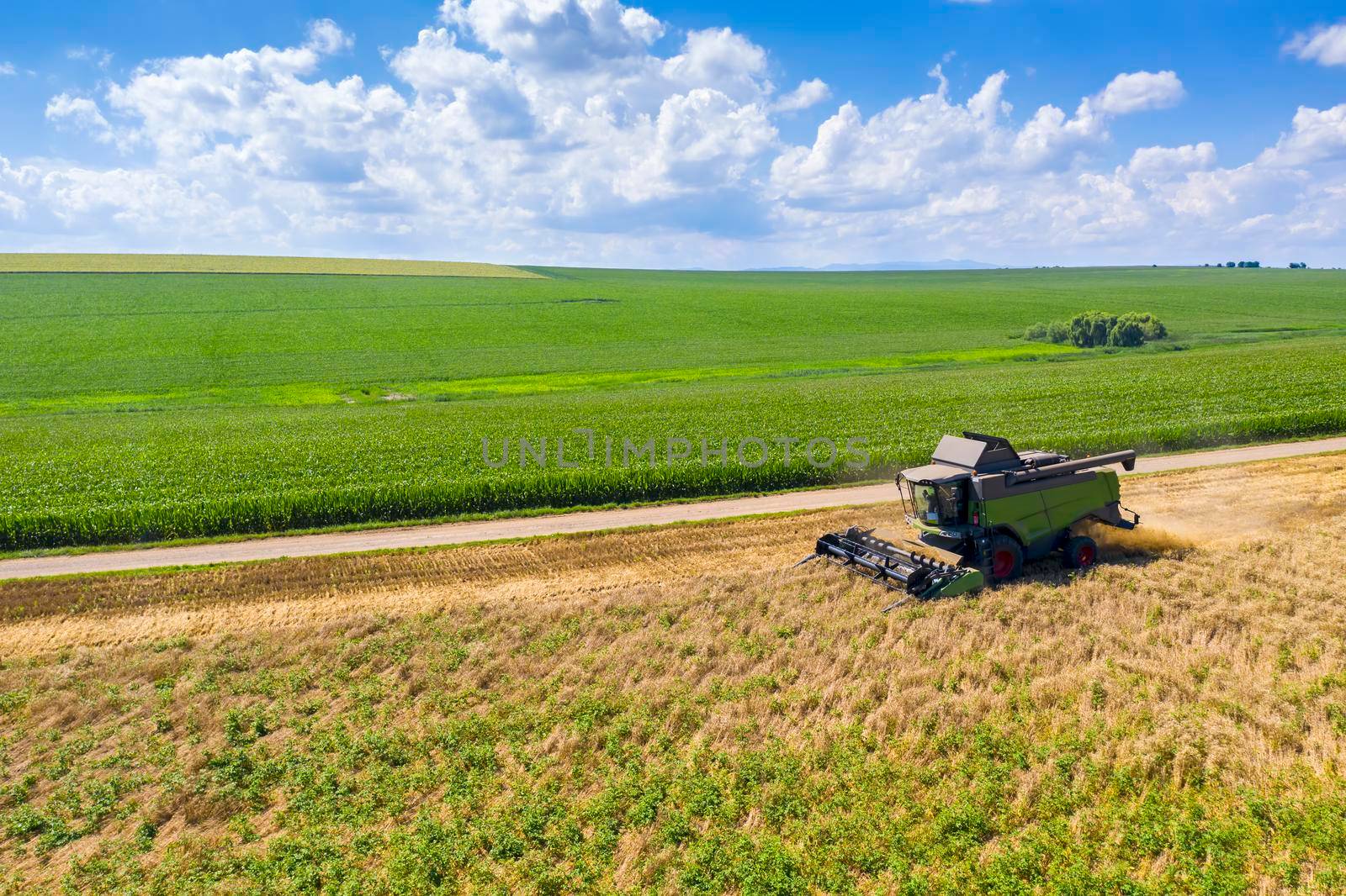 Working combine harvester in cereal field by savcoco