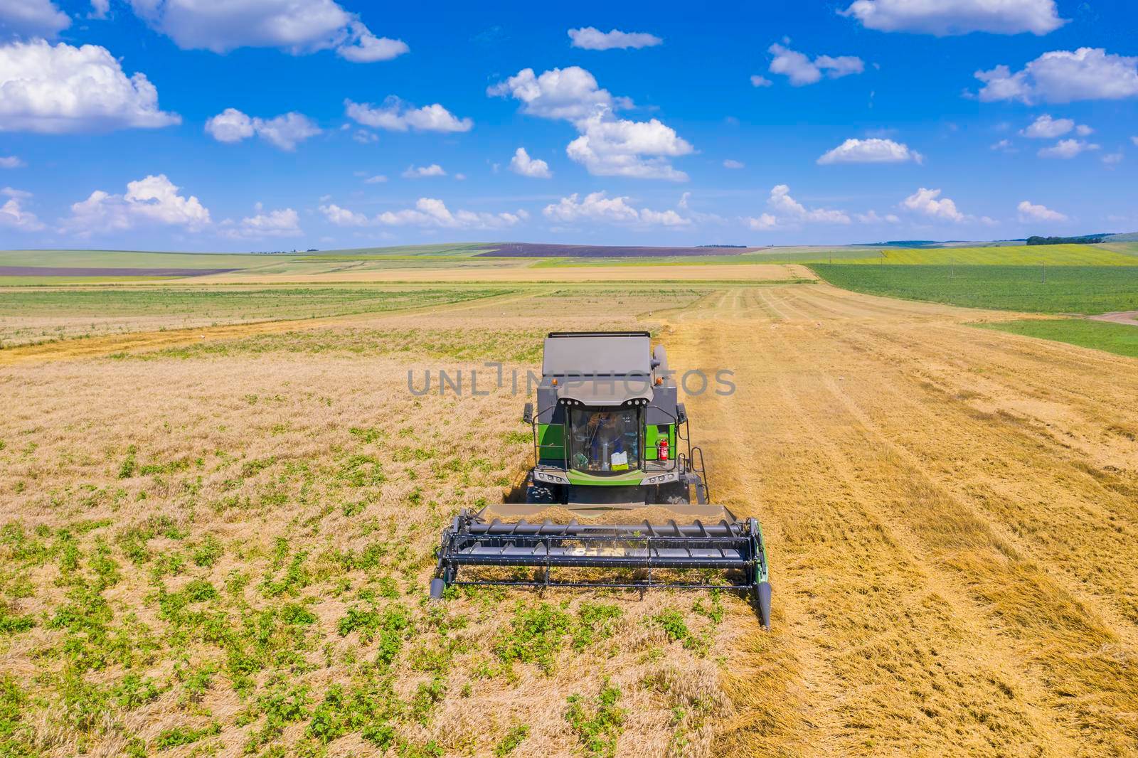 Aerial view of combine harvesting wheat field, working machine in summer field