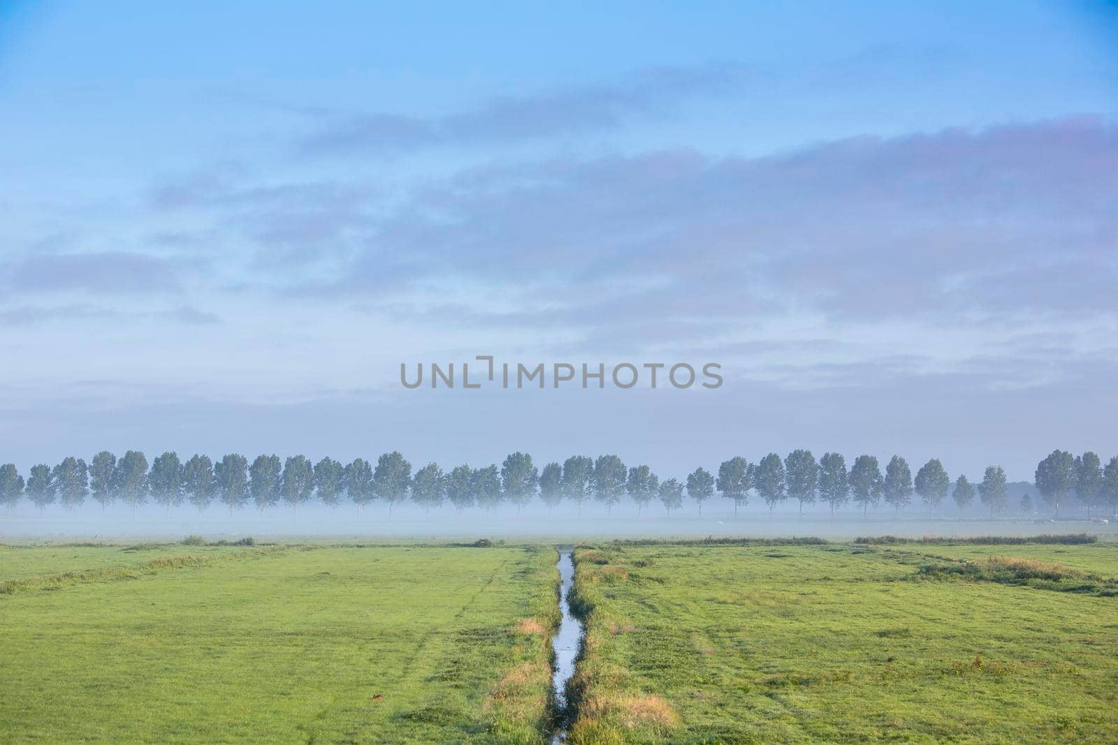 water of ditch reflects blue sky on early summer morning in the green meadow area near amsterdam in the netherlands by ahavelaar