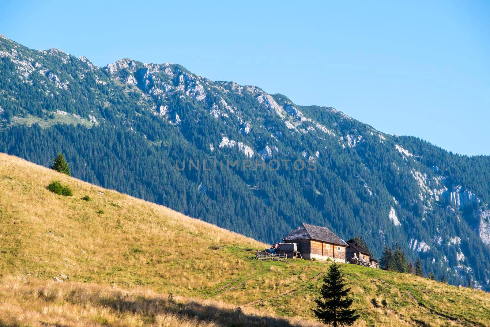 House on mountain pasture in summer by savcoco