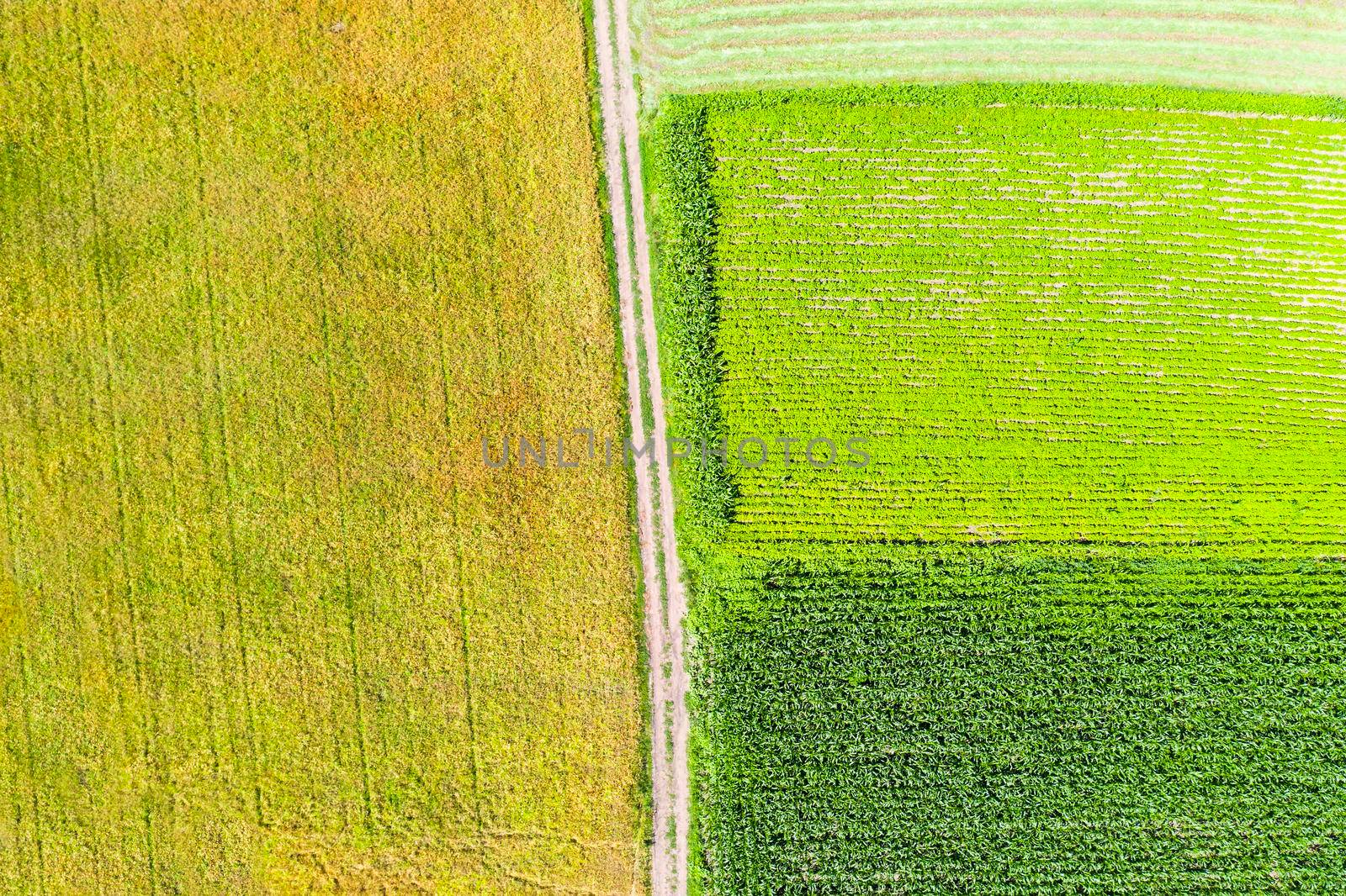 Farm fields and country road during summer viewed from above