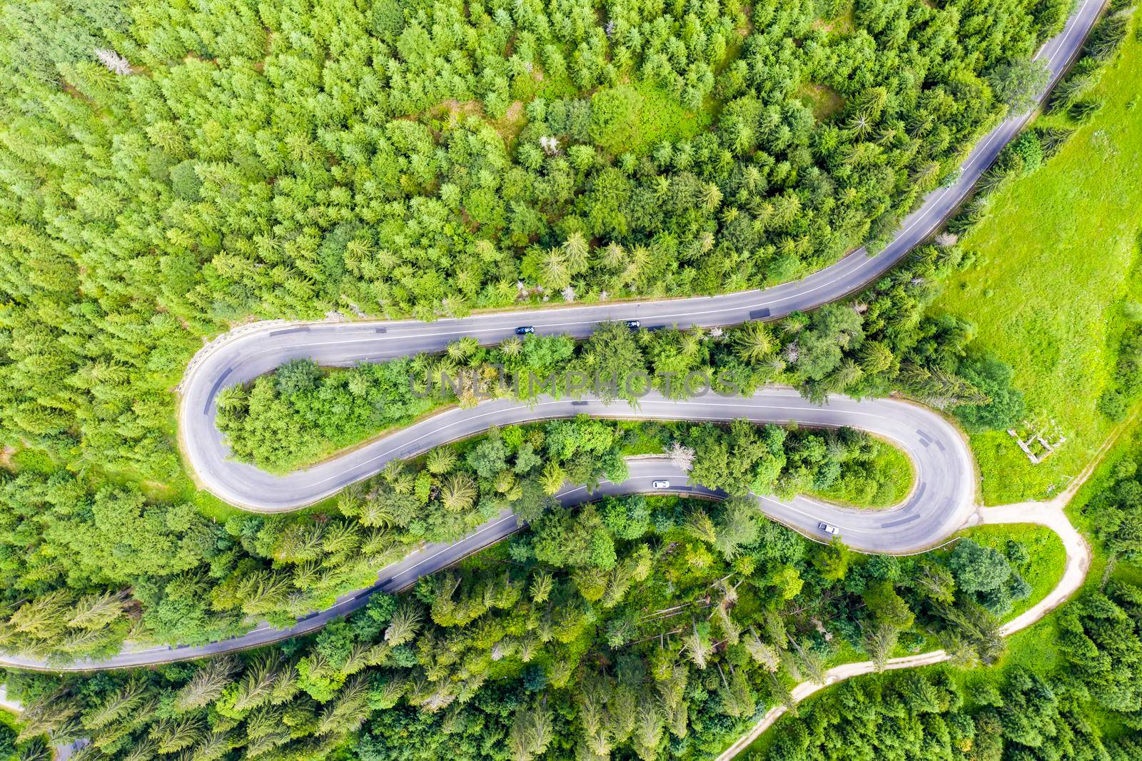 Passing road in green forest by savcoco