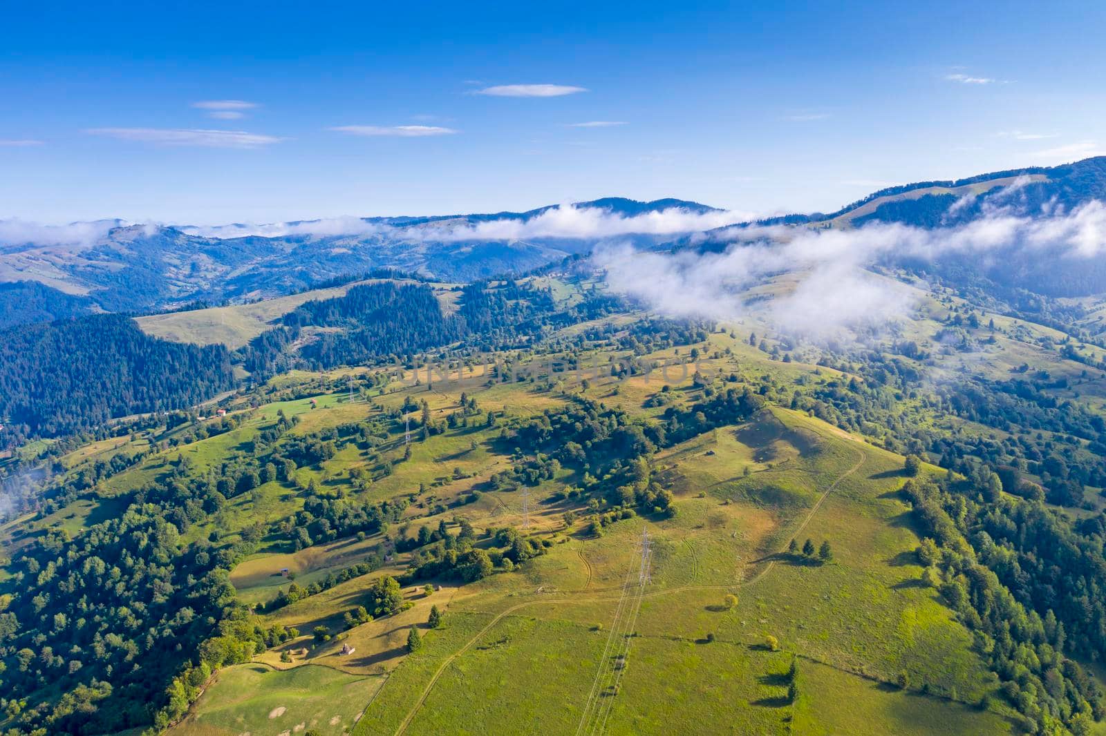 Aerial view of summer pasture and fog by savcoco