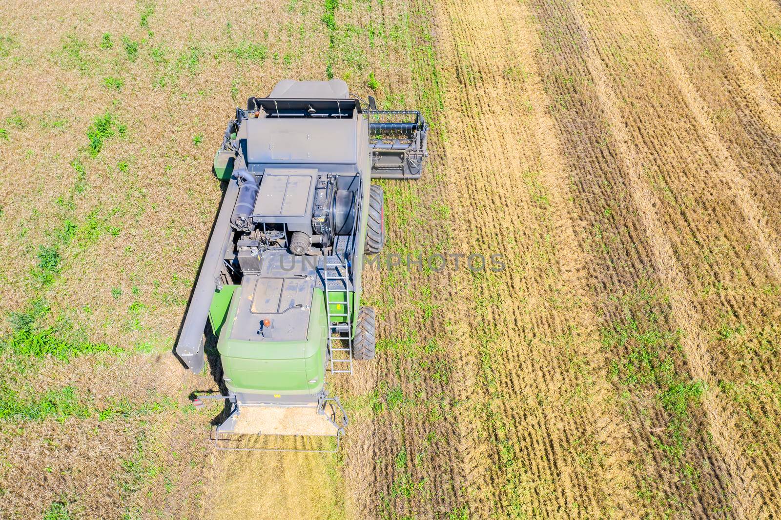 Above view of combine harvesting wheat field, agriculture field work