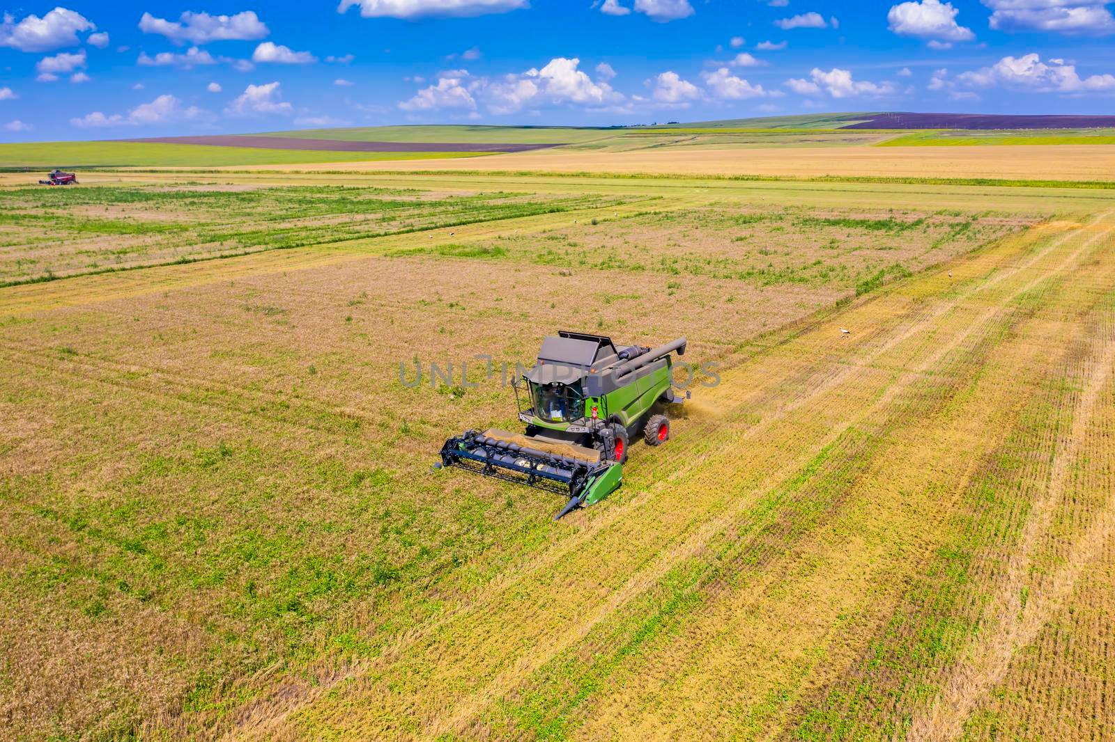 Aerial view of working combine in cereal field by savcoco