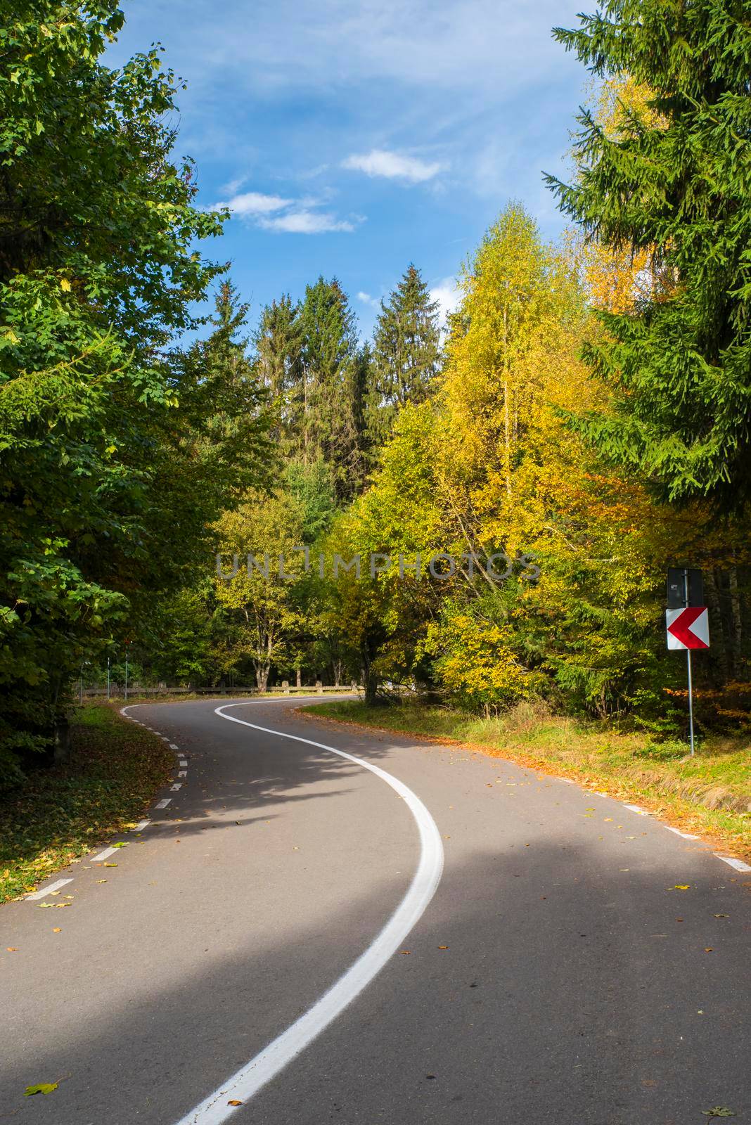 Winding road in autumn forest by savcoco