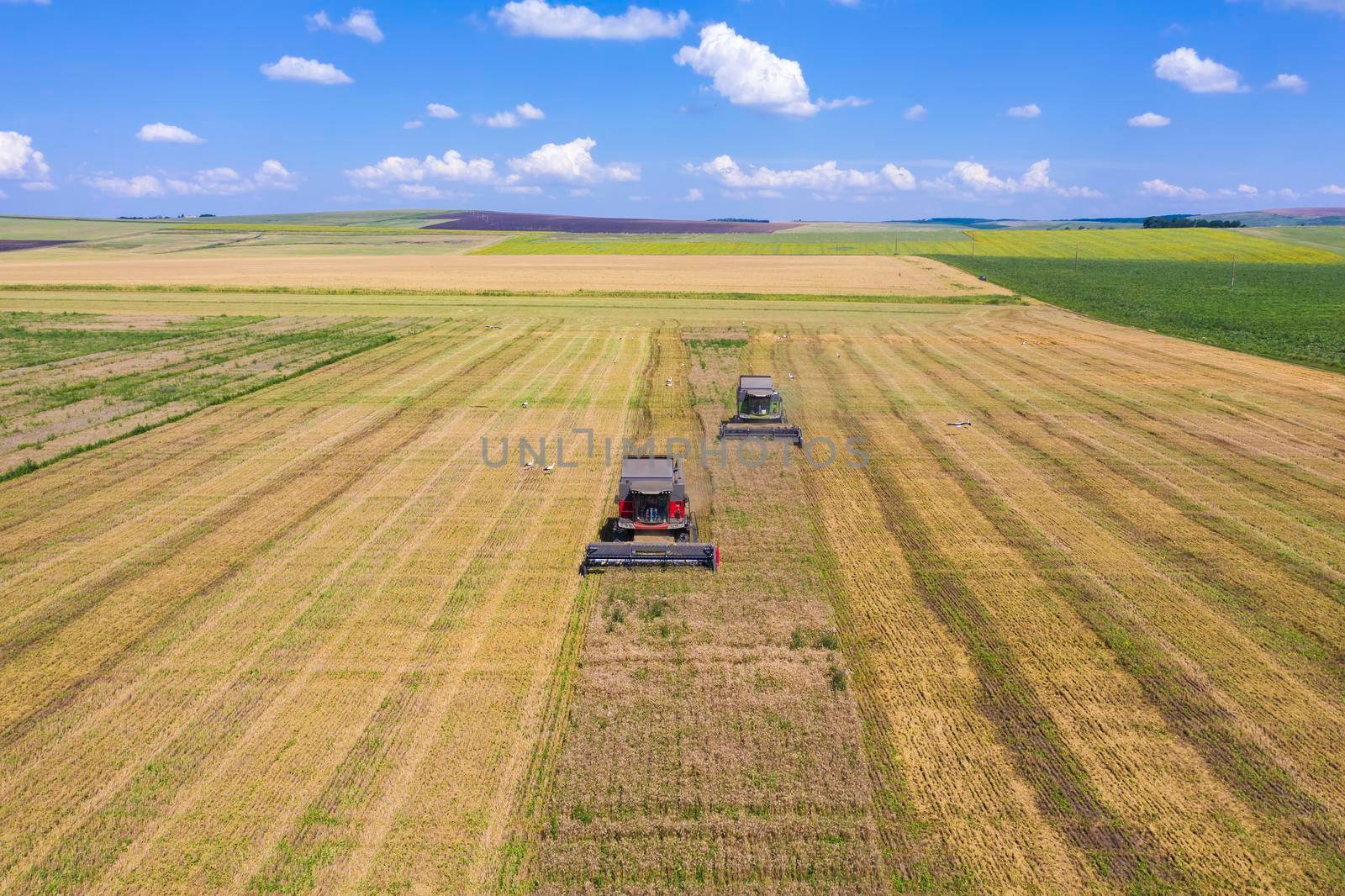 Combine harvesters on summer field by savcoco