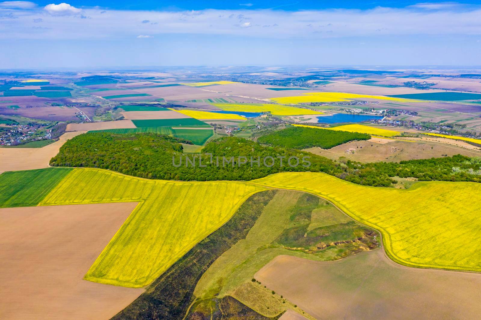 Above view of canola fields near forest and spring landscape
