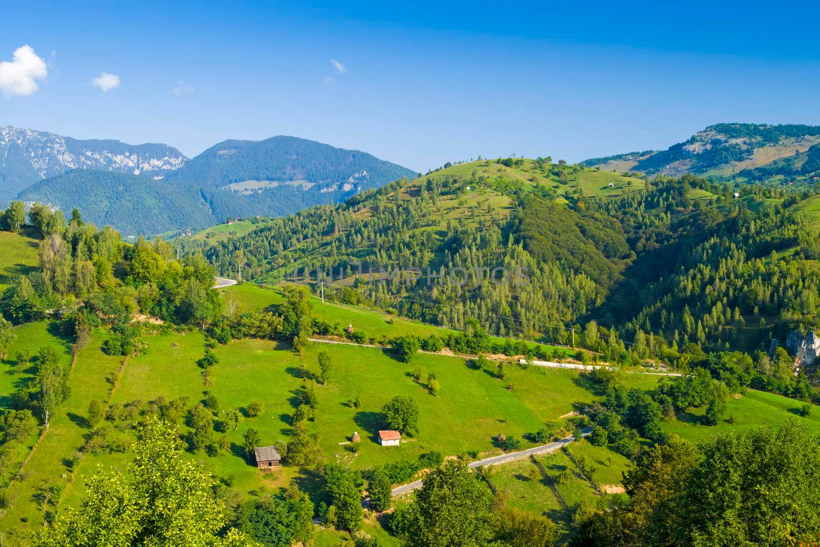 Green hills in rural scene, summer landscape in Romanian Carpathians