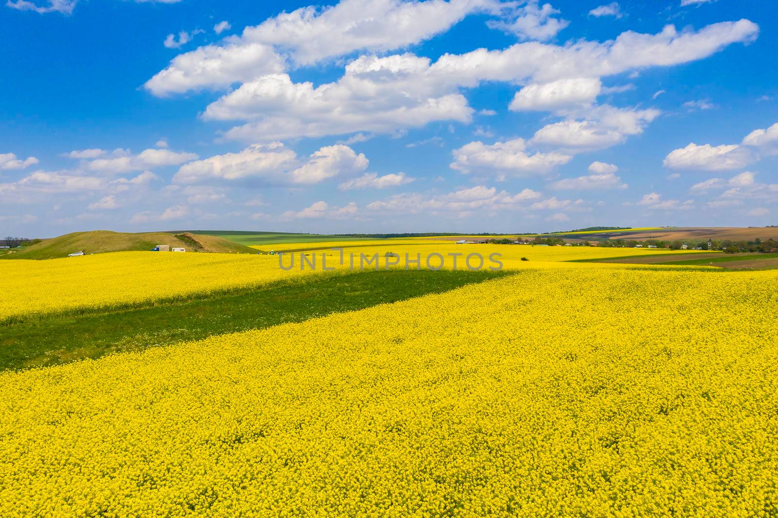 Aerial rapeseed fields during springtime in a rural scene