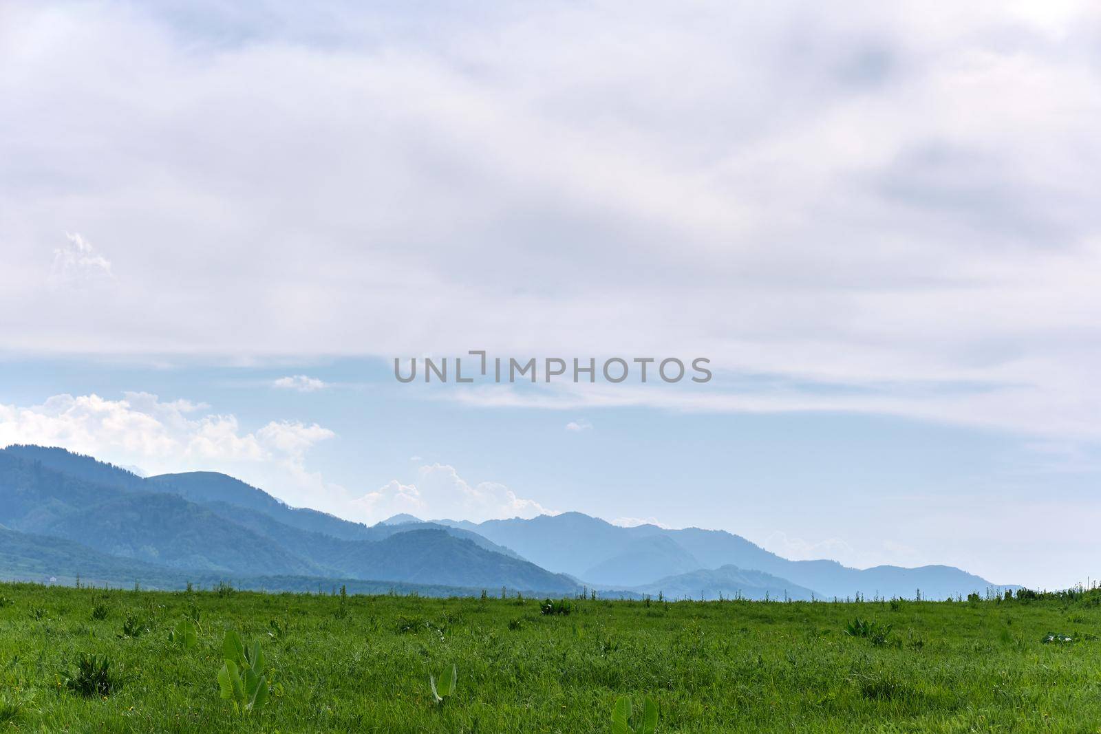 Landscape of a green field with sky and mountains