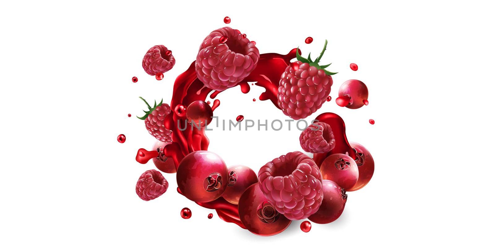 Fresh cranberries and raspberries in fruit juice splashes on a white background. Realistic style illustration.
