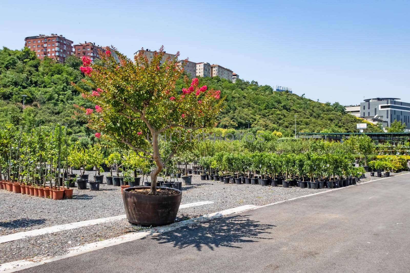 istanbul,july 11,2021.general view 
from istanbul metropolitan municipality garden market for customers.