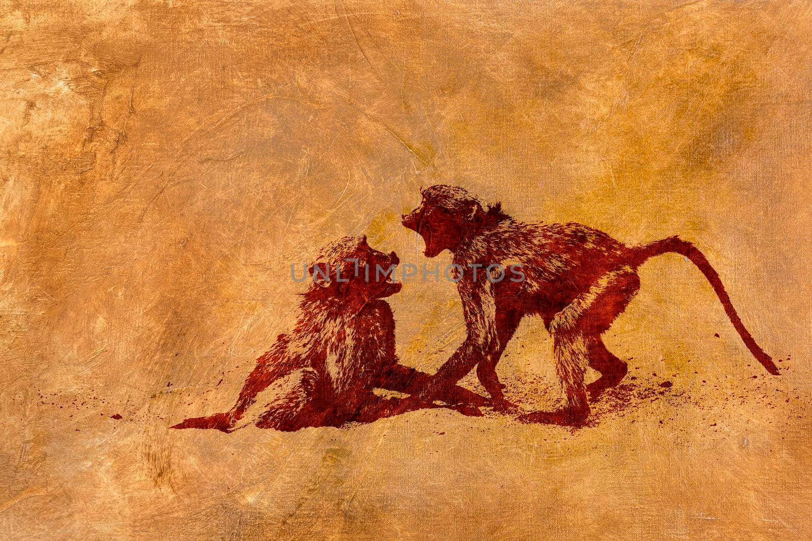 Chacma baboon fighting multiple images with oil painting background  ; Specie Papio ursinus family of Cercopithecidae