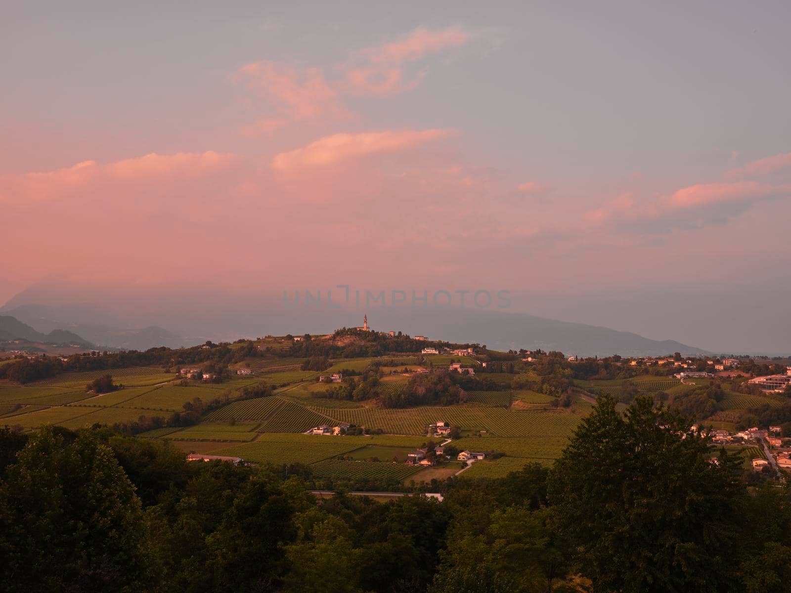 View of the Prosecco wine hill - Conegliano Valdobbiadene, Prosecco road by drmglc