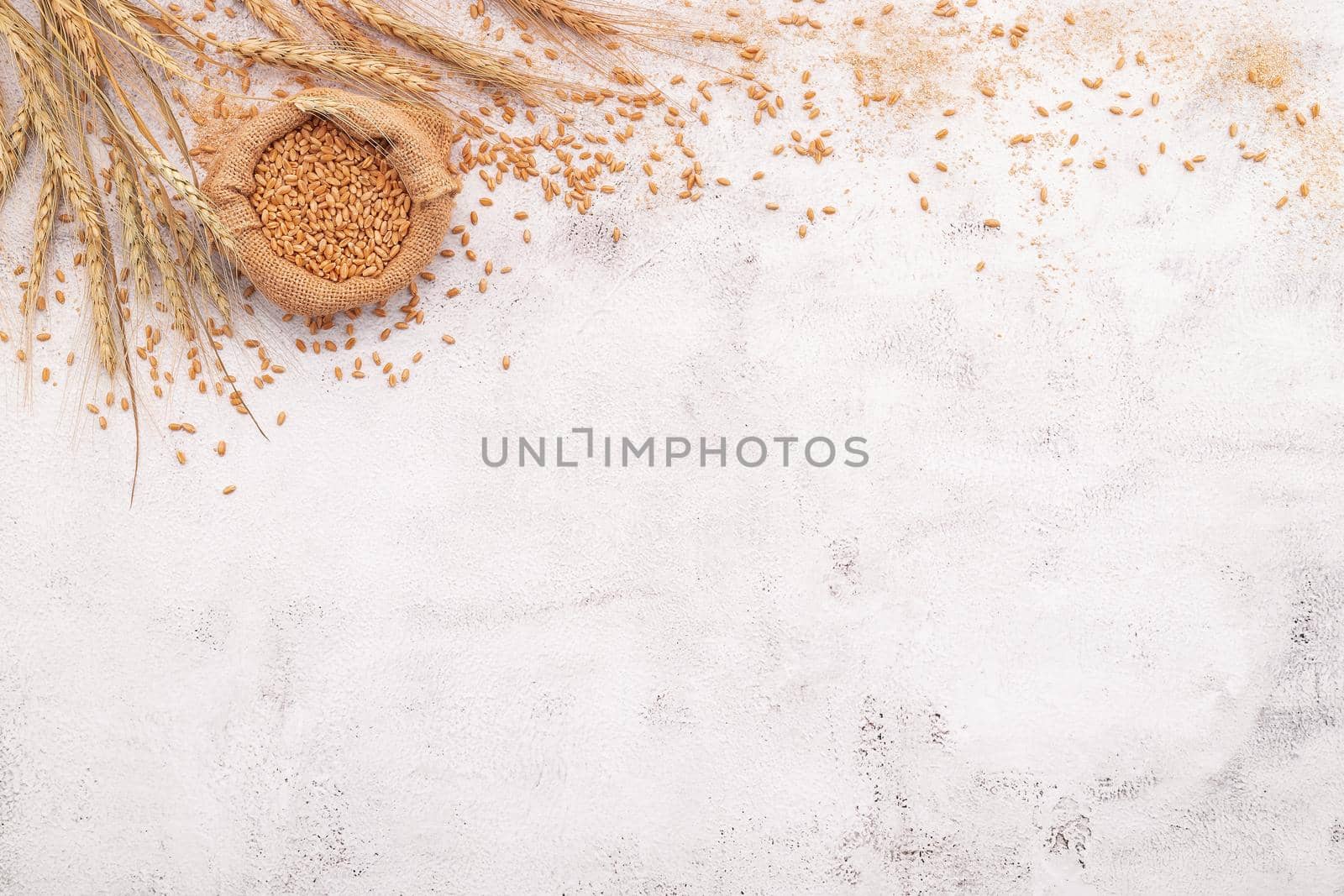 Wheat ears and wheat grains set up on white concrete background.