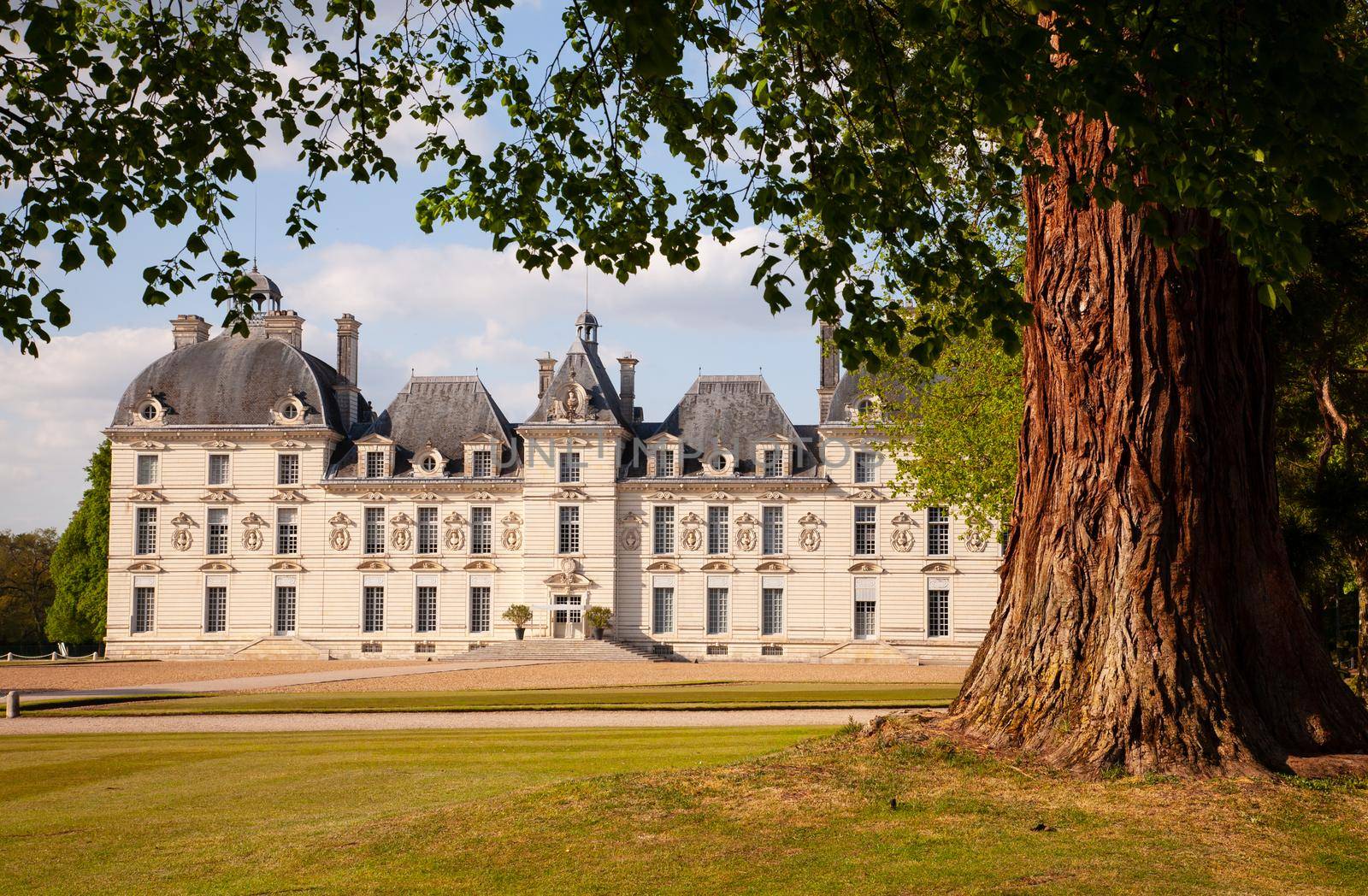 Castles of Loire valley - elegant Cheverny with beautiful park.