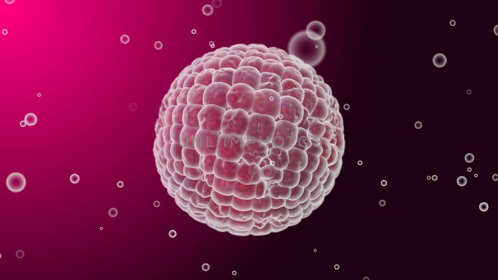 Round bacteria virus on a dark pink background with small floating bubble particles. 3D render medical illustration