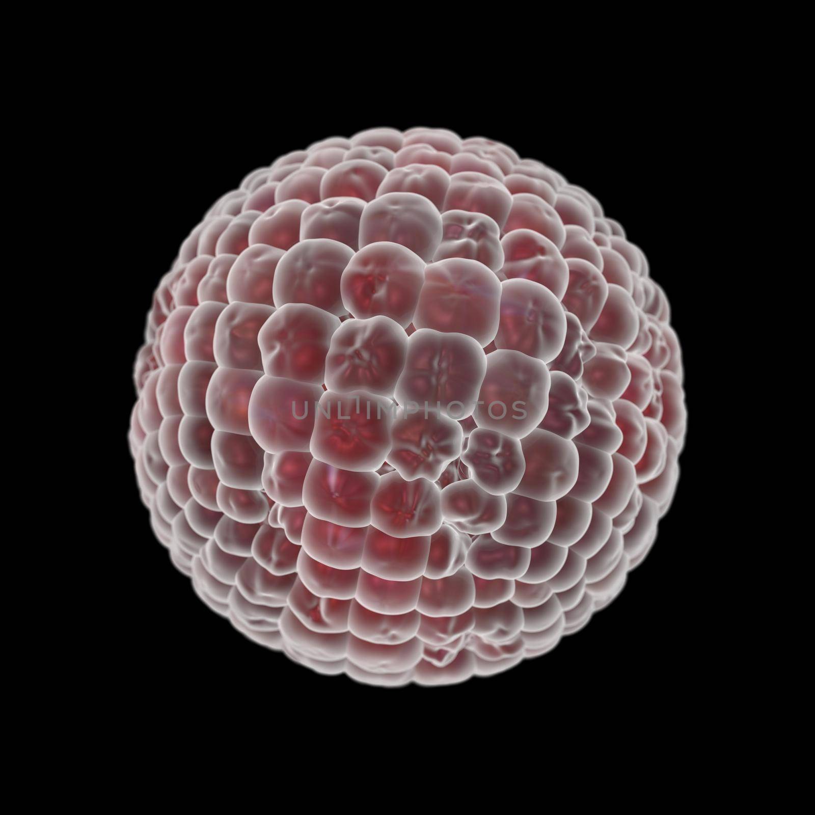 Round pink bacteria virus isolated on black background. 3D render medical illustration