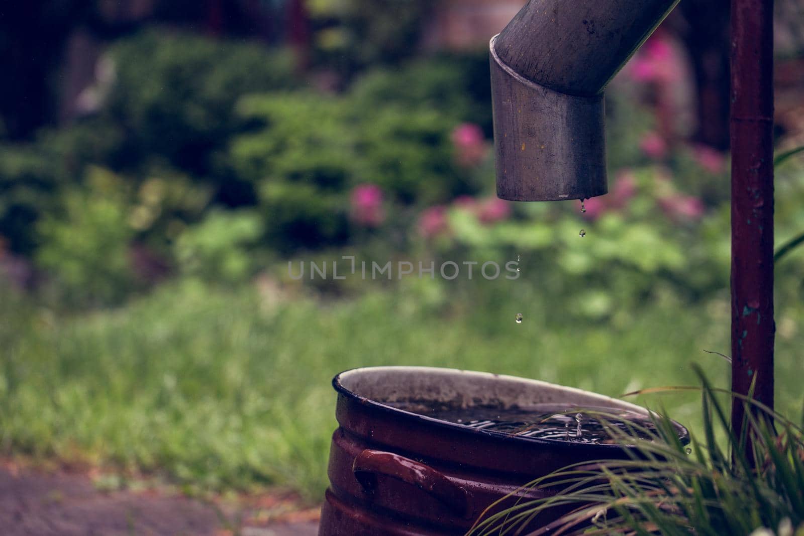 Large enamel tank full of water under a downpipe after a summer rain at country house