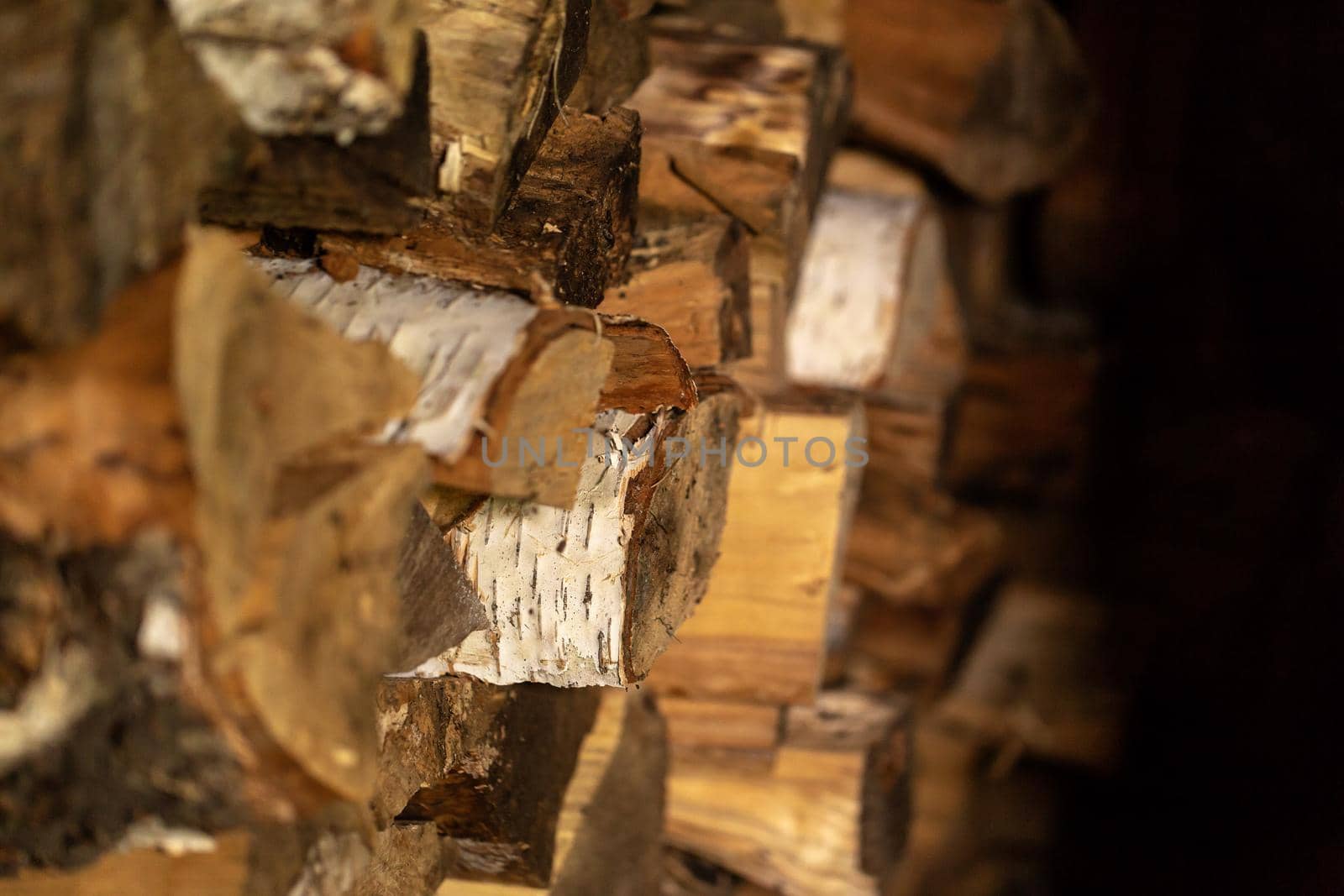 Firewood of different deciduous trees in a woodpile