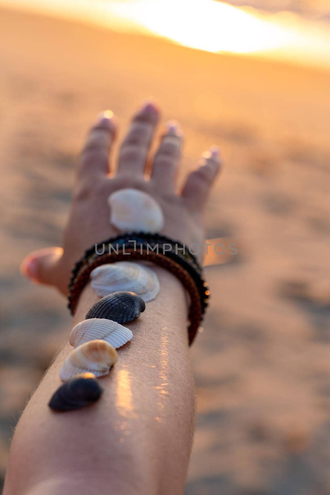 Woman holds seashells on her hand and points towards the sea. Sunrise on the beach in the early morning