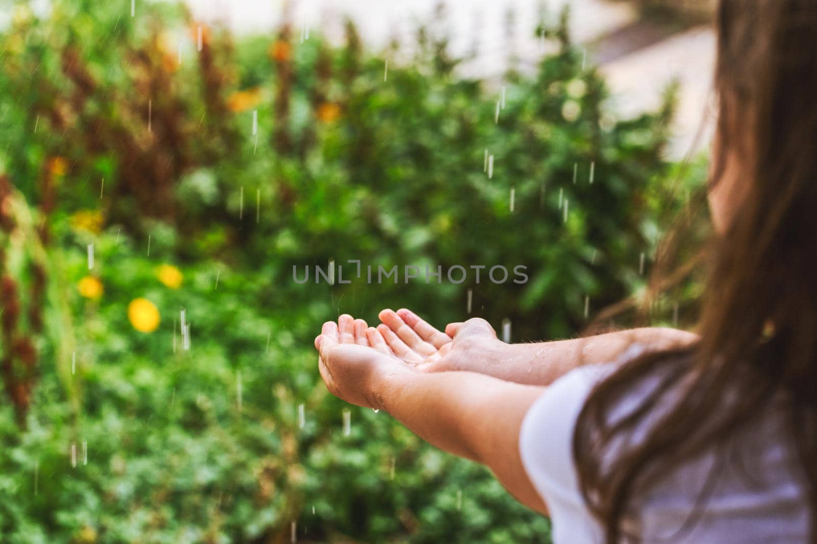 Girl's hands catching raindrops on blurred green floral background. Child playing with water during the rain. Back view