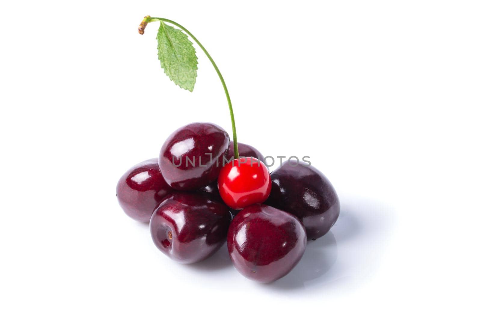 Ripe sweet cherries and one red cherry isolated on white by clusterx