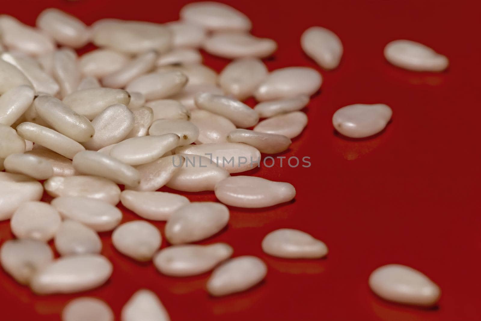 White sesame seeds on a red background, macro, close-up