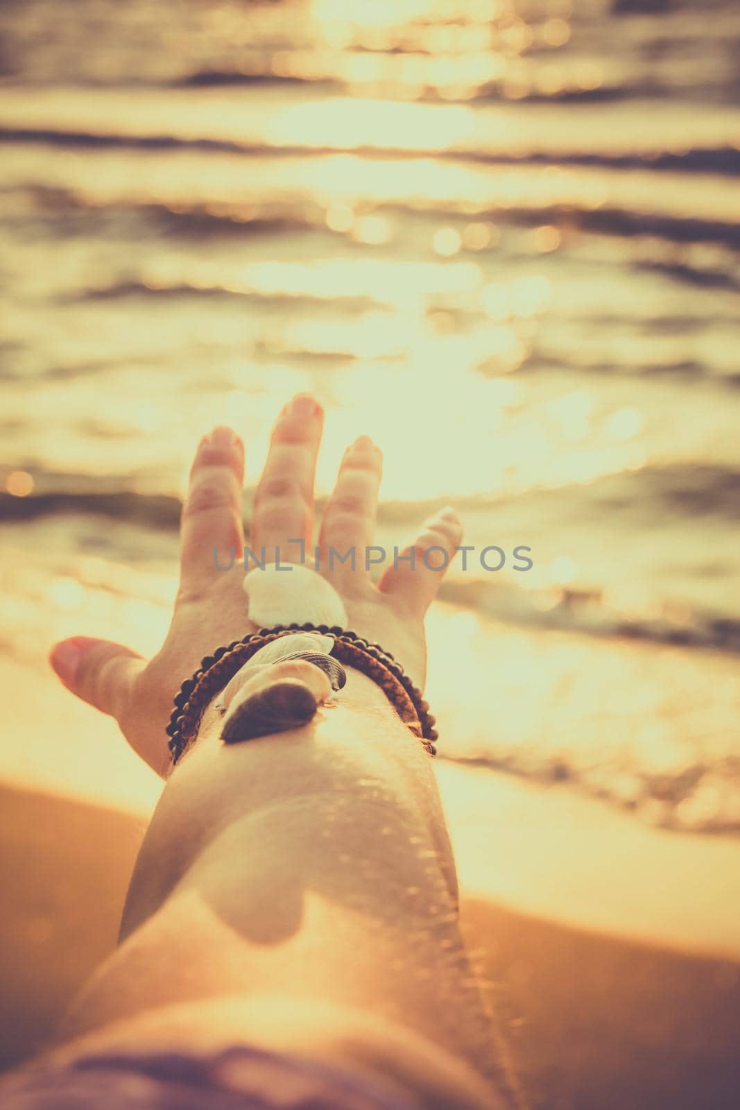 Woman holds seashells on her hand and points towards the sea. Sunrise on the beach in the early morning