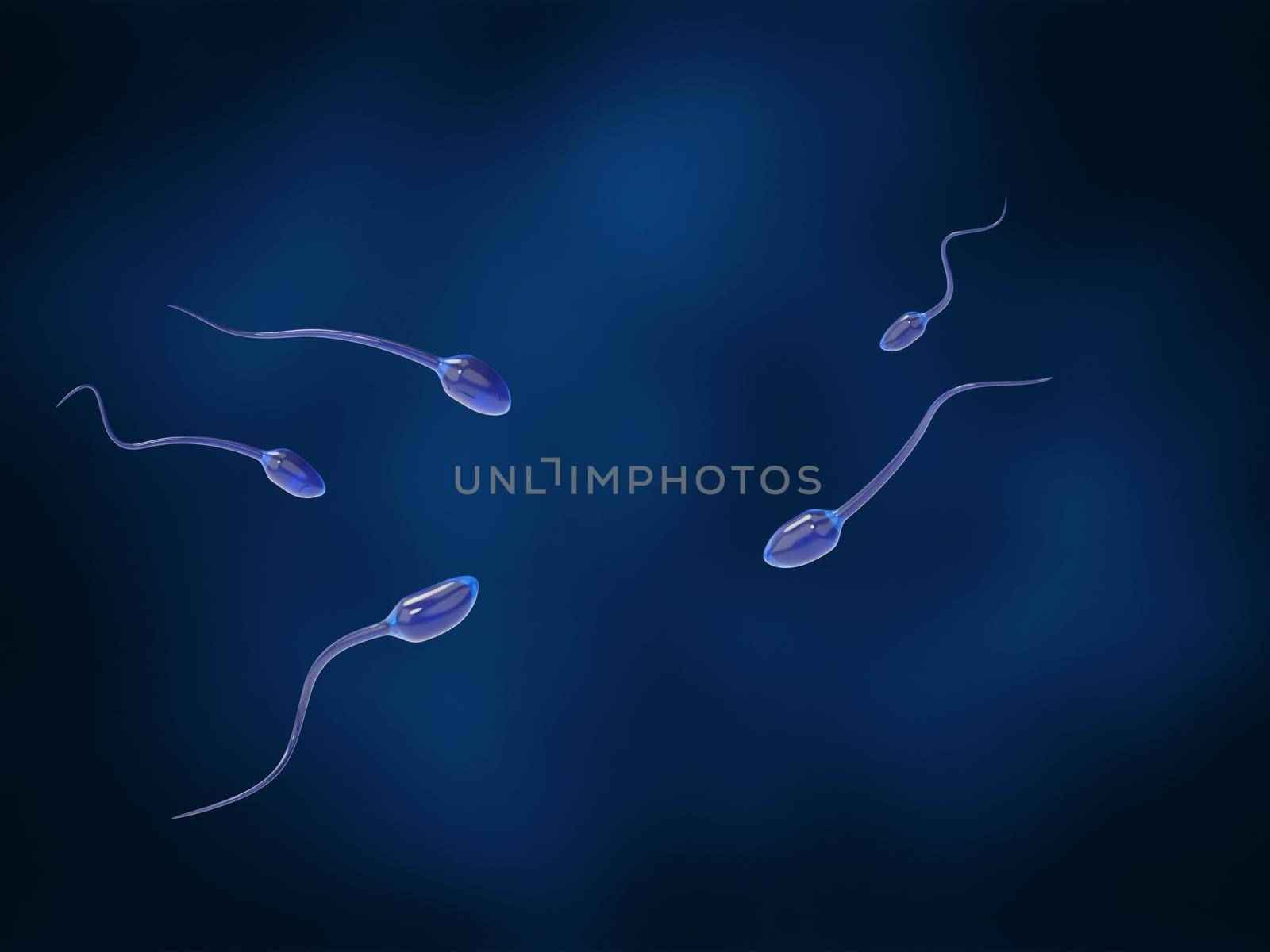 Several sperm searching for female egg cell on a dark blue background. 3D rendering medical illustration