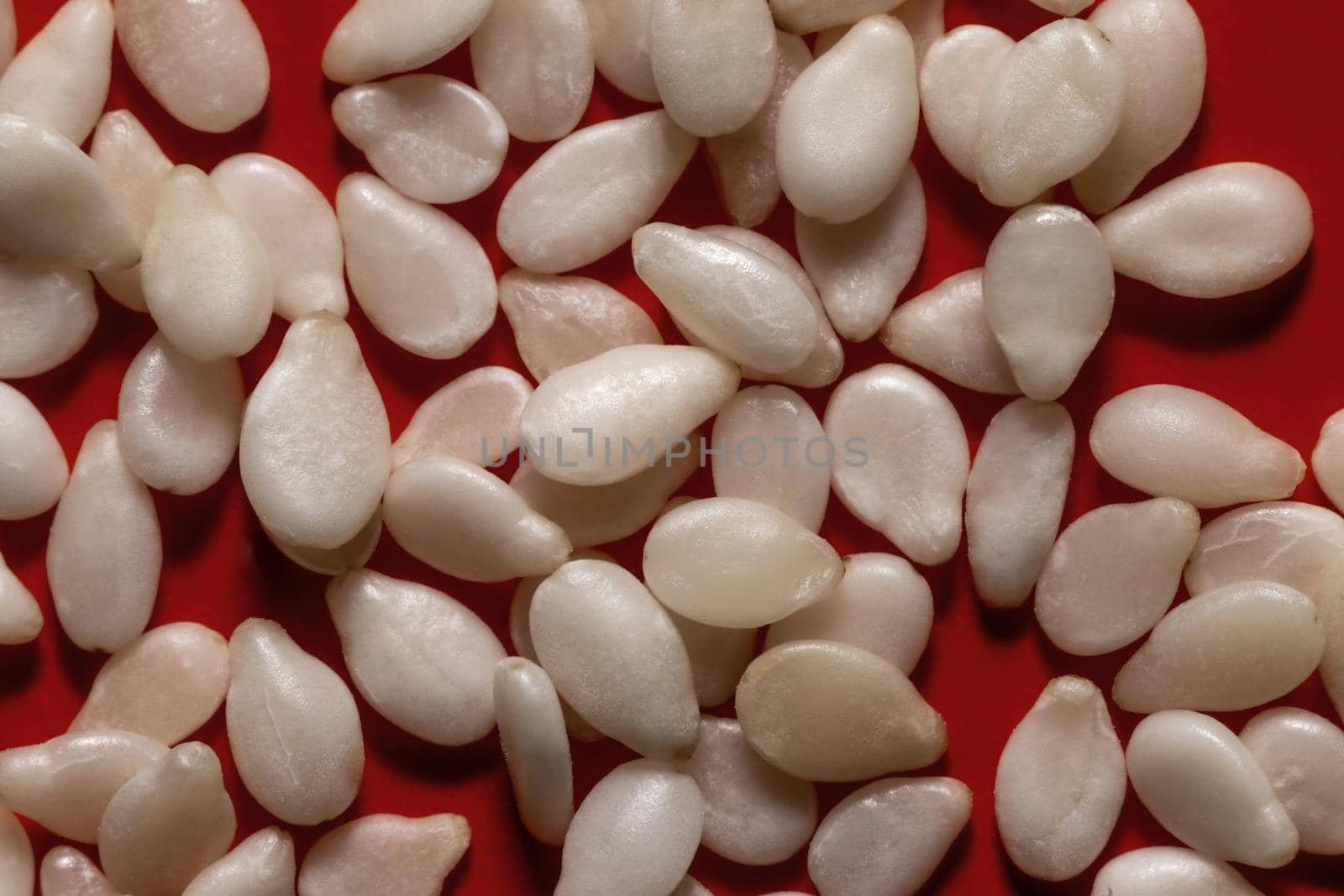 White sesame seeds on a red background, macro, close-up