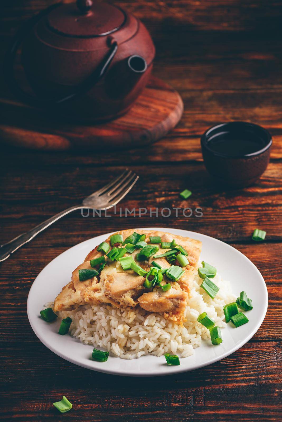 Rice with scrambled eggs, chicken and green onion by Seva_blsv