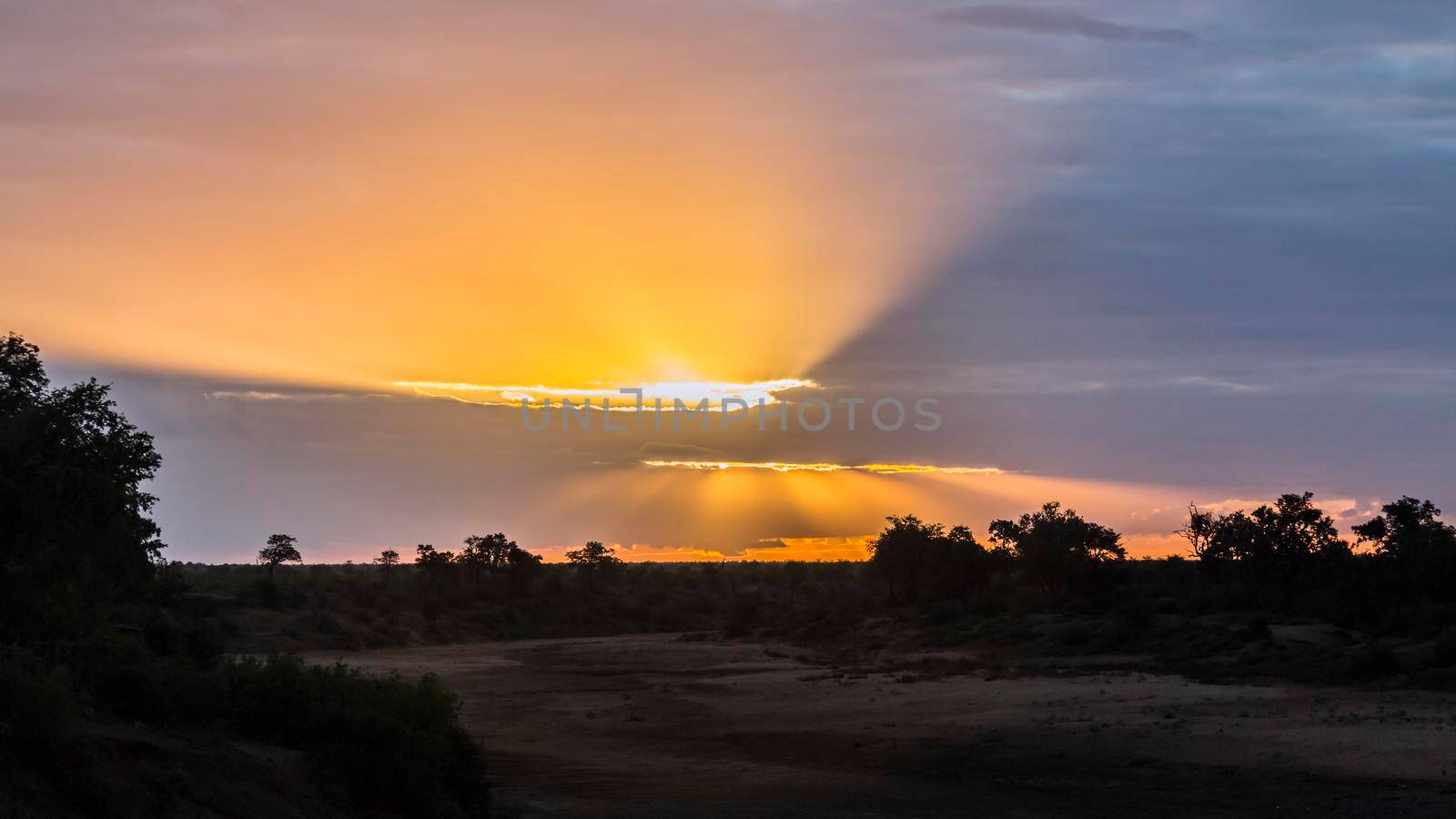 Scenic sunrise in Swingwedzi riverbed in Kruger National park, South Africa