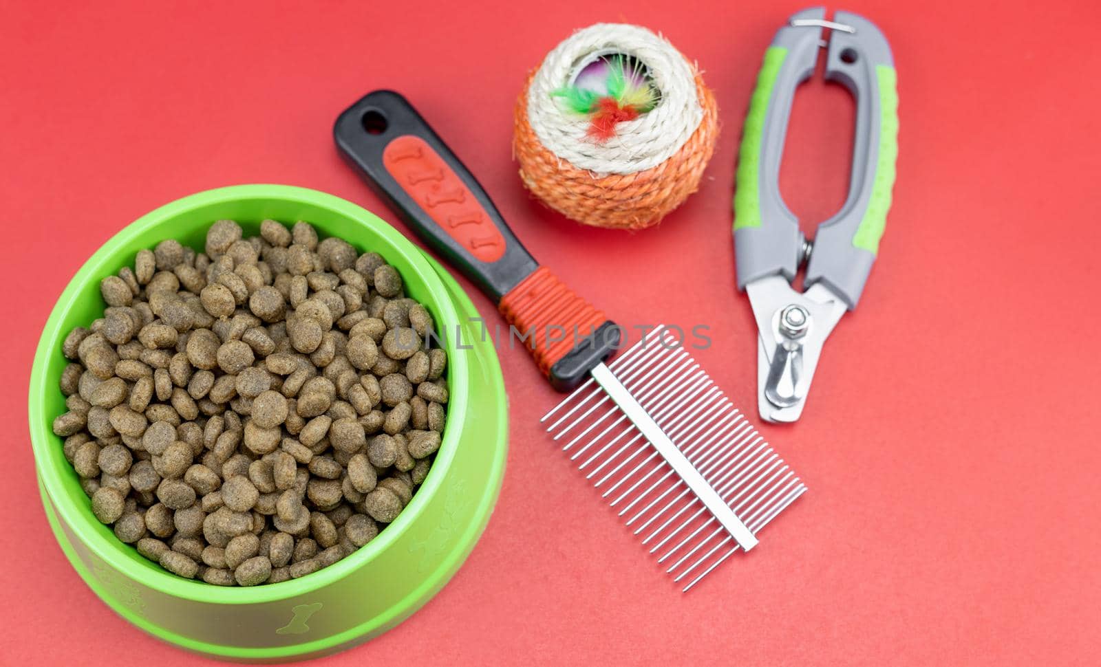 Dry food with pets accessories on red background by Buttus_casso