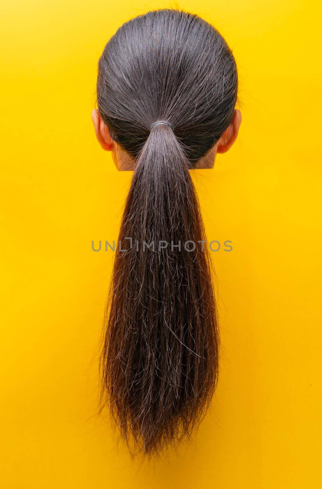 Back view ponytail damaged hair isolated on yellow background. Dry and brittle hair problem. Black long hair with a dry texture. Asian woman with weak, brittle, and unhealthy hair need spa. by Fahroni