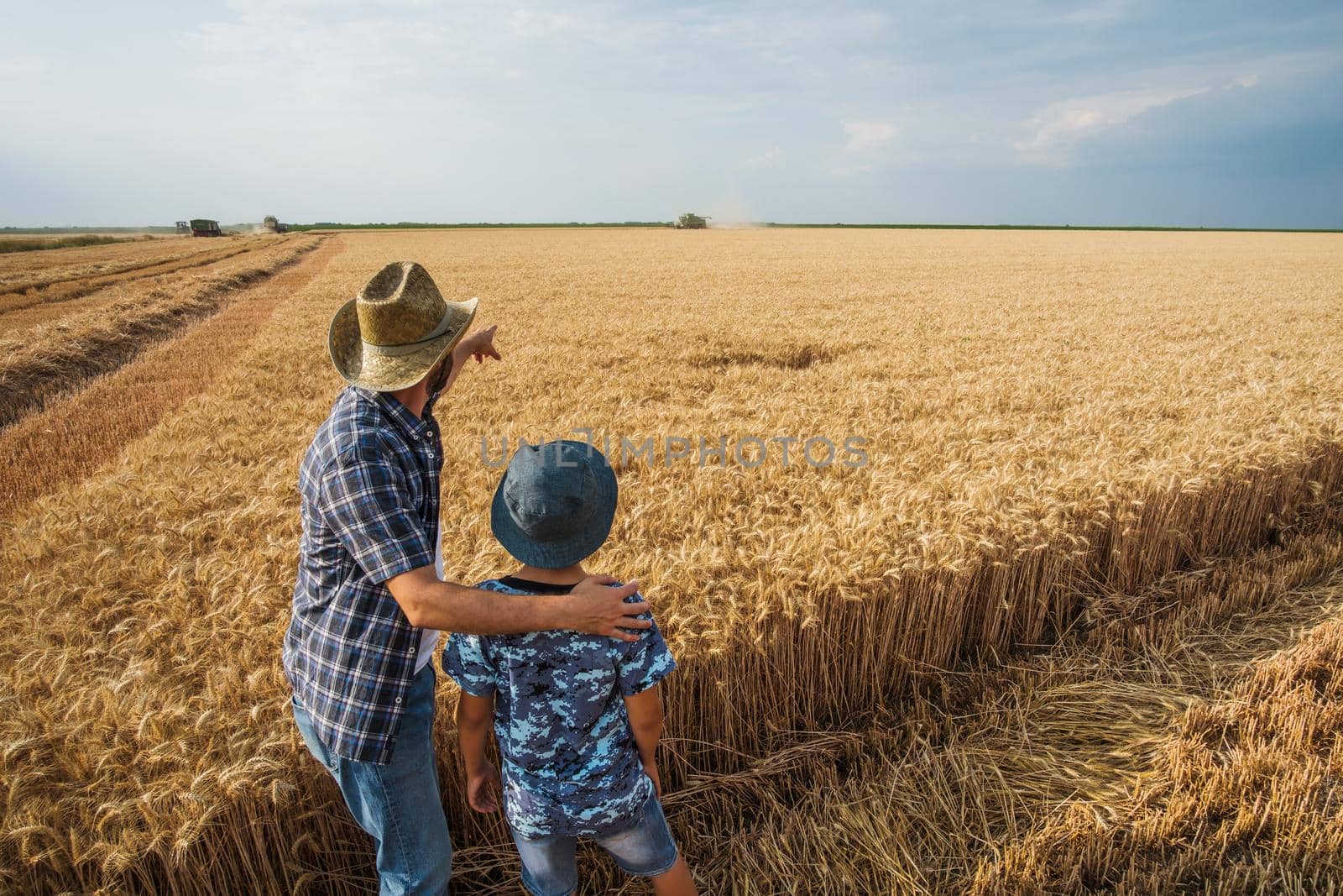 Farmers are standing in their wheat field while the harvesting is taking place. Father is teaching his son about agriculture.