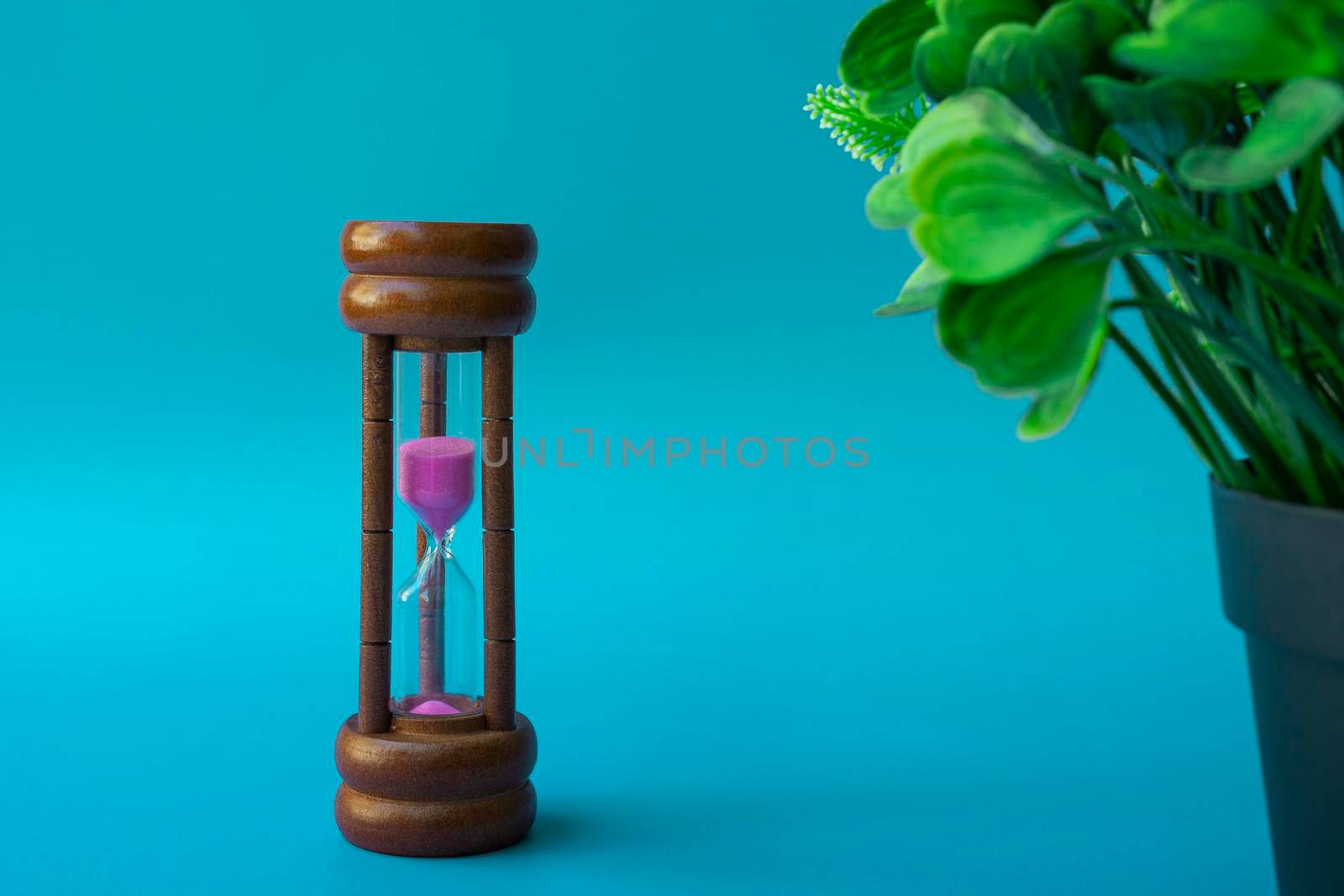 Hourglass as time passing concept for business deadline and running out of time with green background and potted plant. Space for text