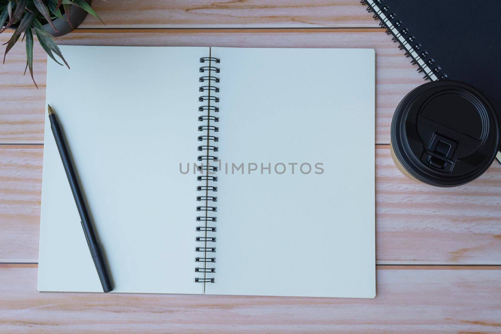 Home office workspace with note books, pen, disposable coffee cup and potted plant. Flat lay and top view. Space for text