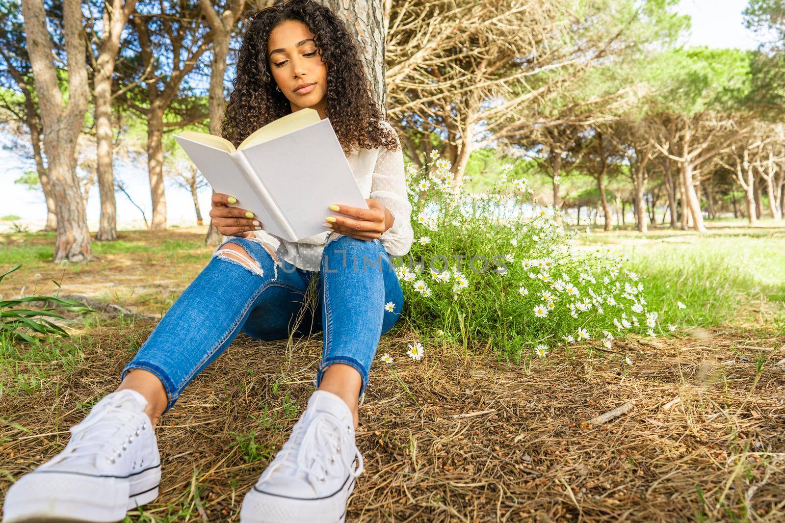 Low front view of an Afro-American curly brunette in blue jeans and white sneakers sitting under a tree in a pine forest near the sea reading a book beside a daisy bush having fun with love tales