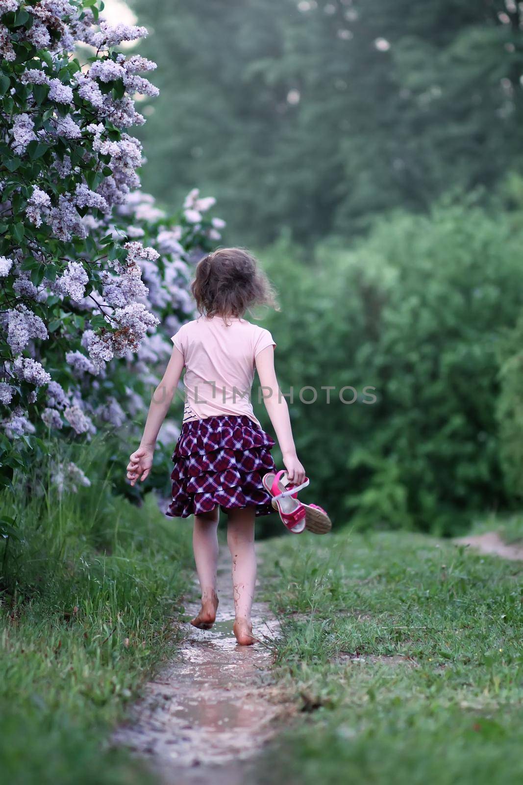 Barefoot girl walks through a puddles of water after the summer rain in countryside.